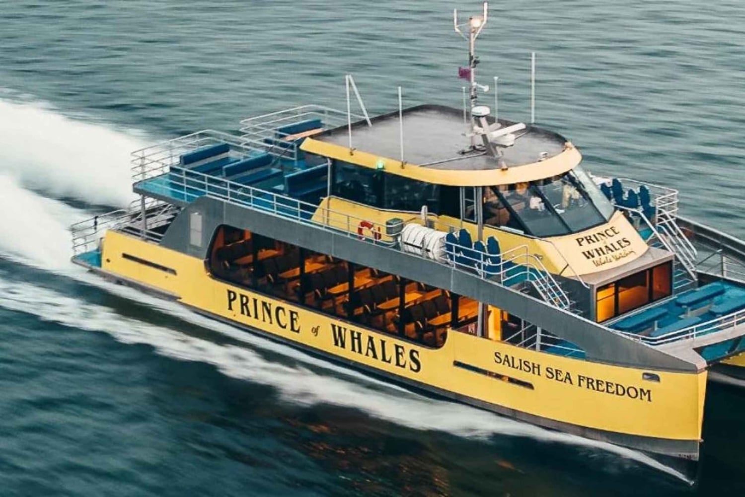 Vancouver: Aventura de observação de baleias coberta com fotos gratuitas