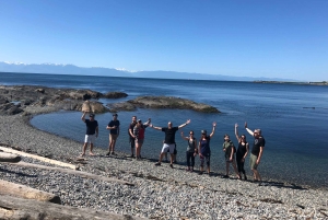 ビクトリア：3時間シティハイライトツアー＆海岸サイクリング