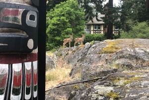 ビクトリア：3時間シティハイライトツアー＆海岸サイクリング