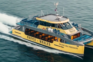 Victoria: Avventura coperta per l'osservazione delle balene con foto gratuite