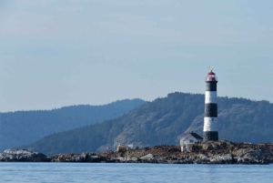 Victoria: Avventura coperta per l'osservazione delle balene con foto gratuite