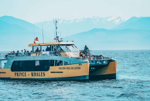 Victoria: Avventura coperta per l'osservazione delle balene con foto gratuite