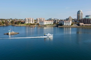 Victoria: panoramisk sjöflygplanstur