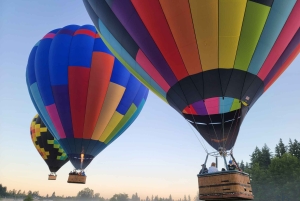 Walla Walla: Wine Country heteluchtballonvlucht bij zonsondergang