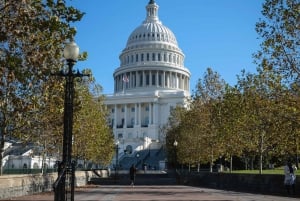 Washington: Cherry Blossom Tour