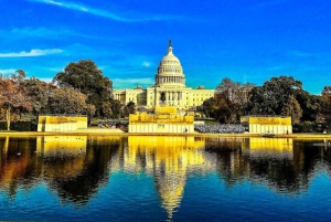 Washington, D.C.: Tour em pequenos grupos de 3 horas pelo Memorial