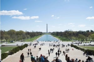 Washington D.C. : Comedy Walks Stand-Up Comedy Show