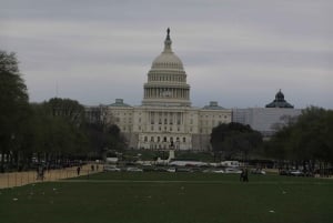 Washington D.C. : Comedy Walks Stand-Up Comedy Show