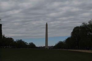 Washington D.C. : Comedy Walks Stand-Up Comedy Show