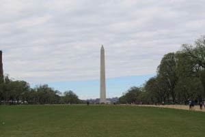 Washington D.C. : Comedy Walks Stand-Up Comedy Show