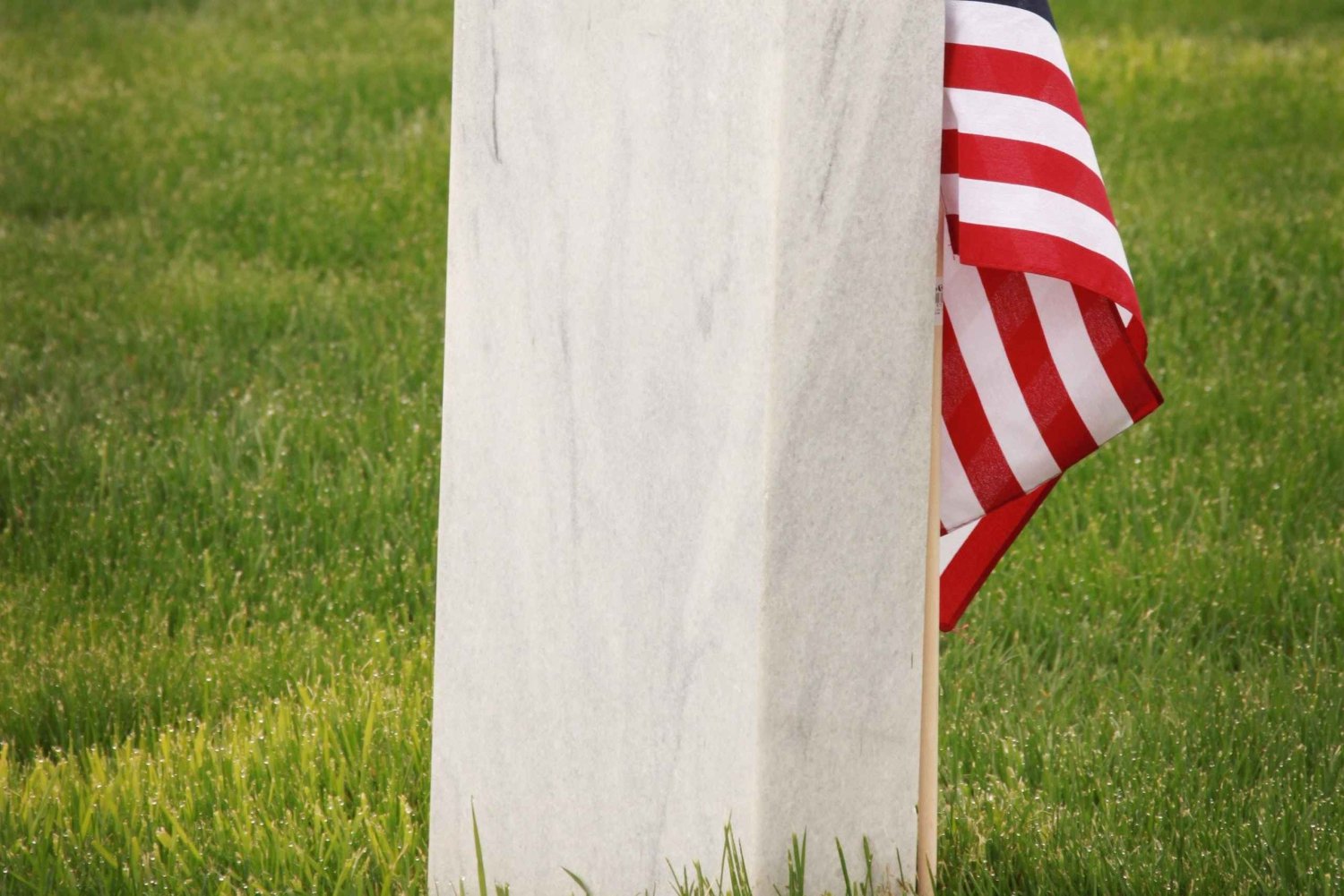 Washington, D.C.: Guided Tour of Military Memorials