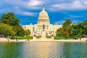Washington, D.C.: dagtour met monumenten en gedenktekens