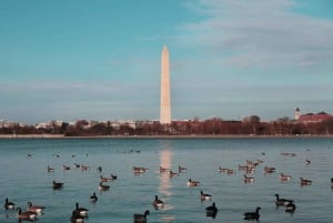 Washington, D.C. : visite de nuit des monuments et des mémoriaux