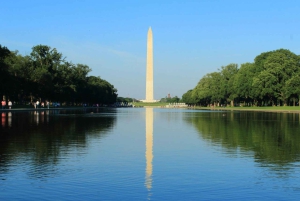 Washington D.C. National Mall: tour privado de día completo