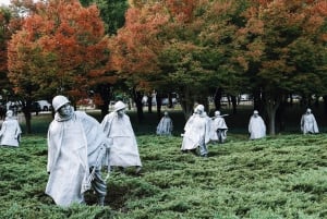 National Mall-tur med Washington Monument, semi-privat, 12 personer