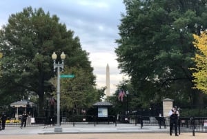 National Mall-tur med Washington Monument, semi-privat, 12 personer