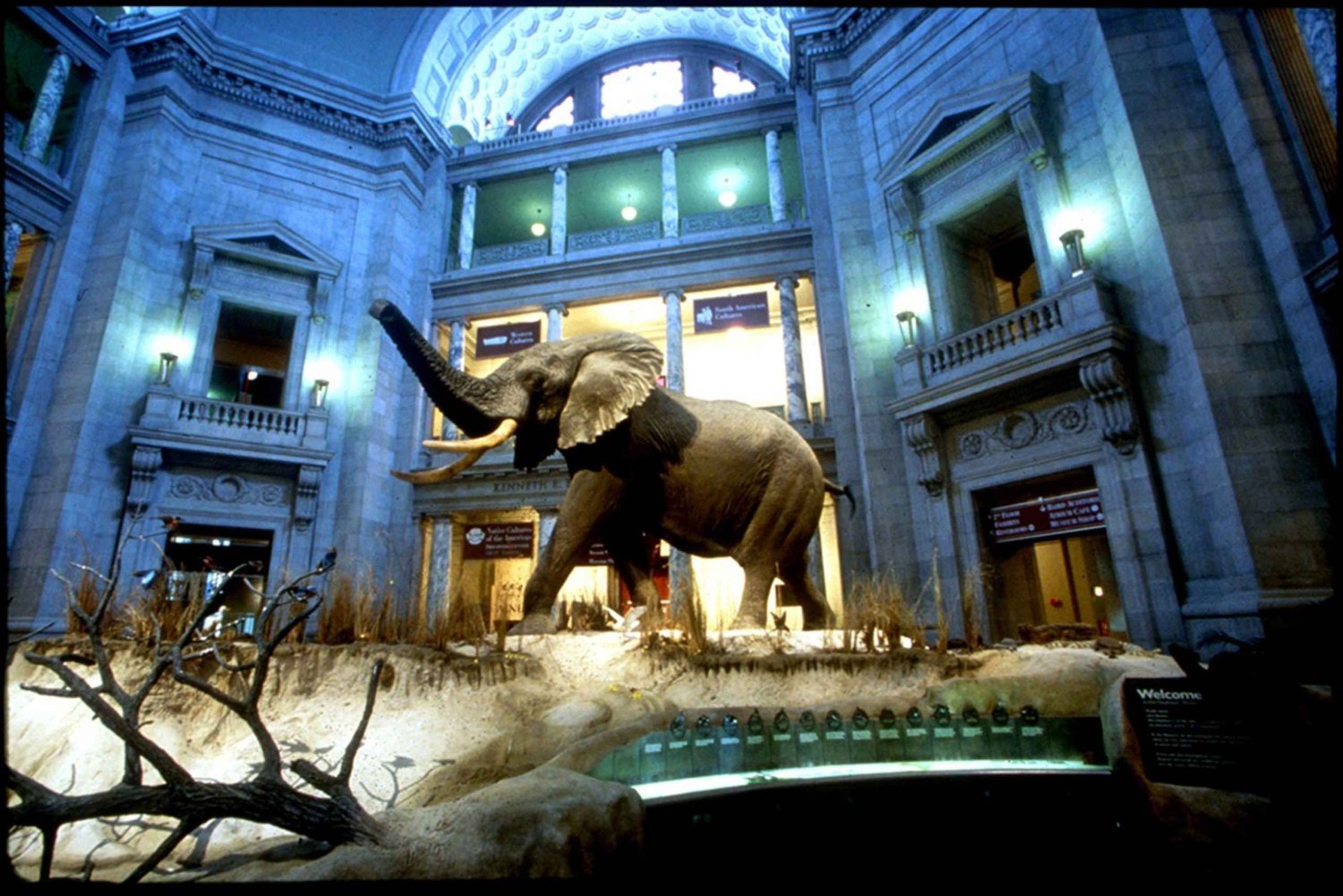 Washington D.C.:n luonnonhistoriallinen museo Perheen aarrejahti