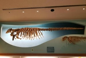 Washington D.C. speurtocht voor gezinnen in het Natural History Museum