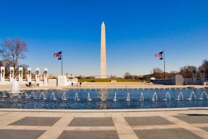 Washington, D.C.: Small Group Tour by Van