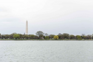 Washington DC: 1 or 2-Day Unlimited Water Taxi Pass