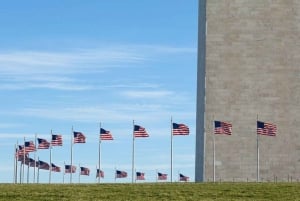 Washington DC : Visite privée de 3 heures de la ville dans un véhicule de luxe