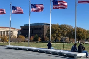 Washington DC: tour privato del Museo di storia afroamericana