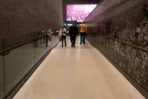 Washington DC: tour privato del Museo di storia afroamericana