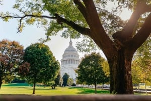 ワシントン DC: アフリカ系アメリカ人の歴史ツアーと博物館入場