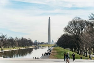 ワシントン DC: アフリカ系アメリカ人の歴史ツアーと博物館入場
