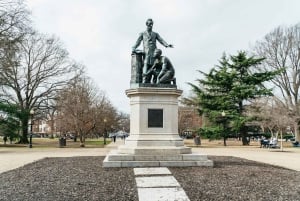 ワシントン DC: アフリカ系アメリカ人の歴史ツアーと博物館入場