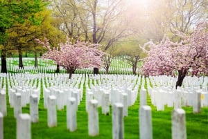 Washington DC: Arlington-kirkegården - guidet vandretur