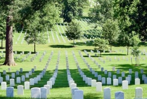 Arlington Cemetery & vagtskifte Semi-privat 12 personer