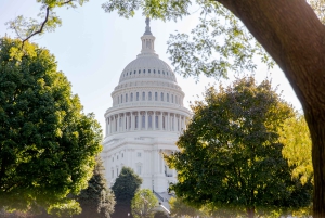 Washington DC: Busstur til hovedstadens høydepunkter