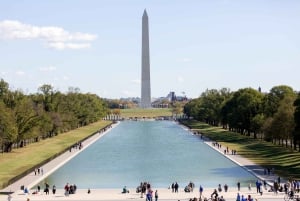 Washington DC: Busstur til hovedstadens høydepunkter