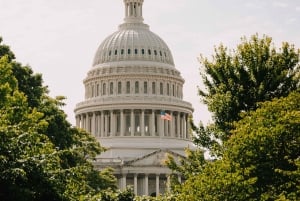 Washington DC: Guidet omvisning på Capitol Hill med inngangsbilletter