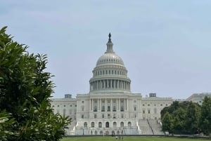 Washington DC: excursão a pé pela arquitetura icônica do Capitólio