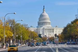 Washington DC: Capitol Hill Rundgang