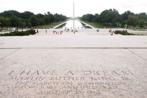 Washington DC: Cherry Blossom Walking Tour