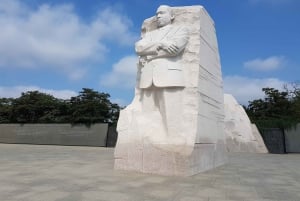 Washington DC: Cherry Blossom Walking Tour