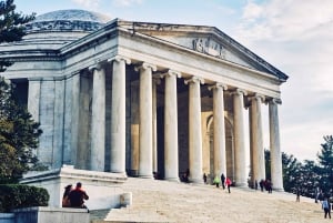 Washington DC: Cherry Blossom Walking Tour