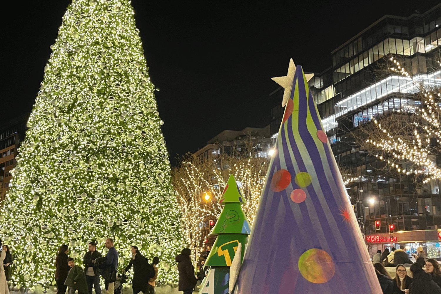 Washington, DC: Busstur med julgranar och julbelysning