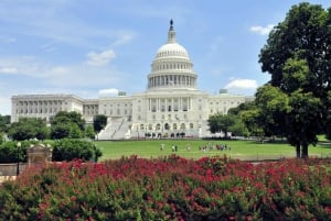 Washington DC fra NYC privat heldagstur med bil