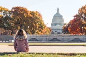 Washington DC fra NYC privat heldagstur med bil