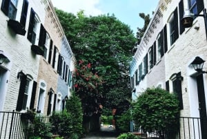Washington, DC: excursão a pé pela arquitetura de Georgetown