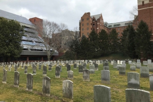 Washington, DC: excursão a pé pela arquitetura de Georgetown