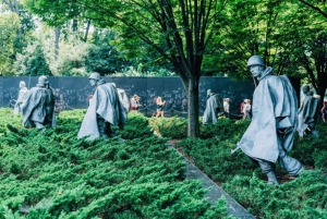Washington DC: Große Sightseeingtour