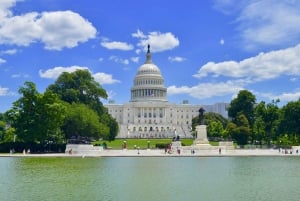 Washington, DC: Guidad tur i liten grupp 4-timmars dagstur