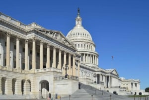 Washington, DC: Guidad tur i liten grupp 4-timmars dagstur