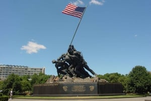 Washington, DC: Guidad tur i liten grupp 4-timmars dagstur
