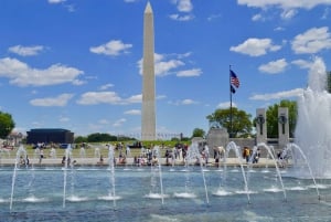 Washington, DC: Guidad tur i liten grupp 4-timmars dagstur